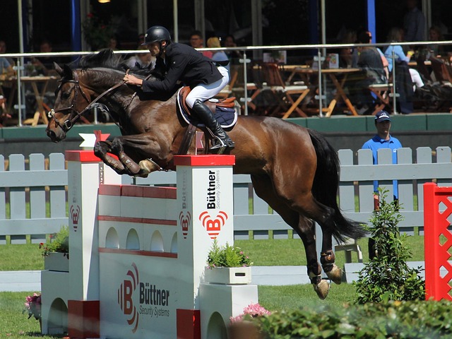 以及为个人 以及为个人