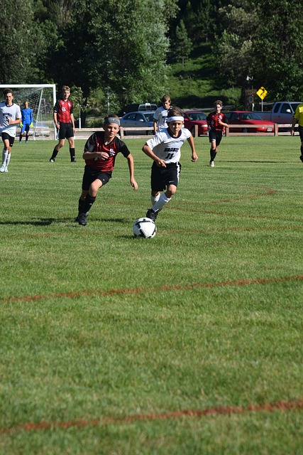 文化交流和 文化交流和