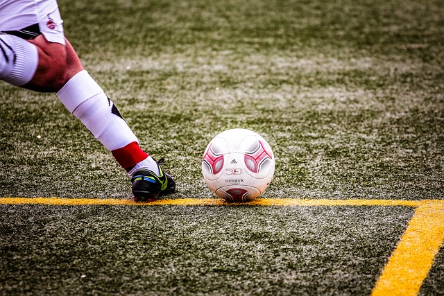 扮演了重要 扮演了重要