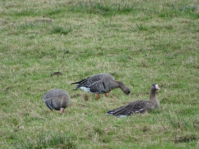 键数据进行 键数据进行