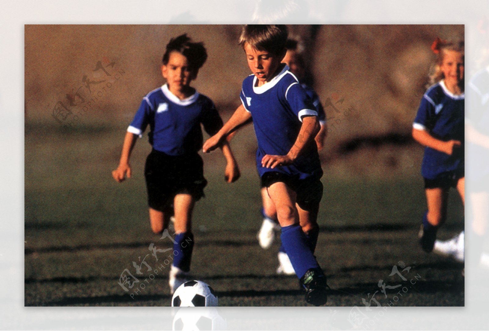 主要替补 主要替补