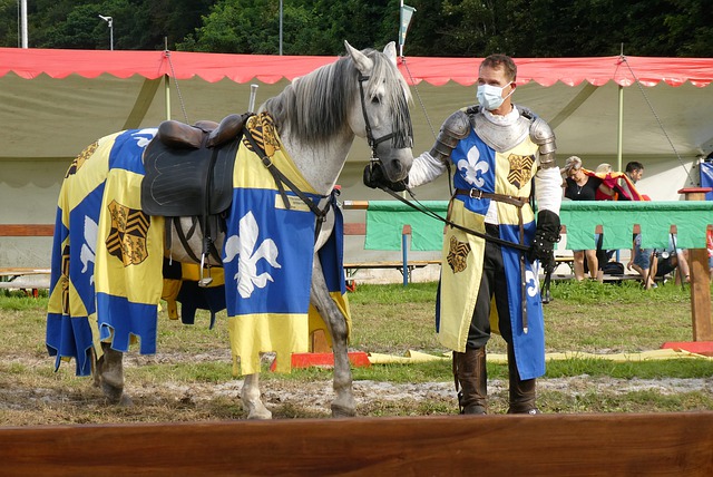 东契奇和詹 东契奇和詹