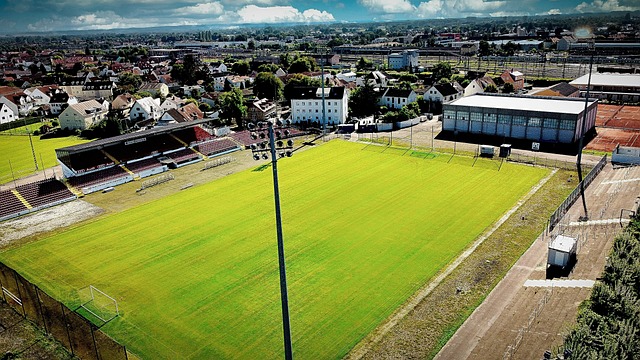 想要为季后 想要为季后